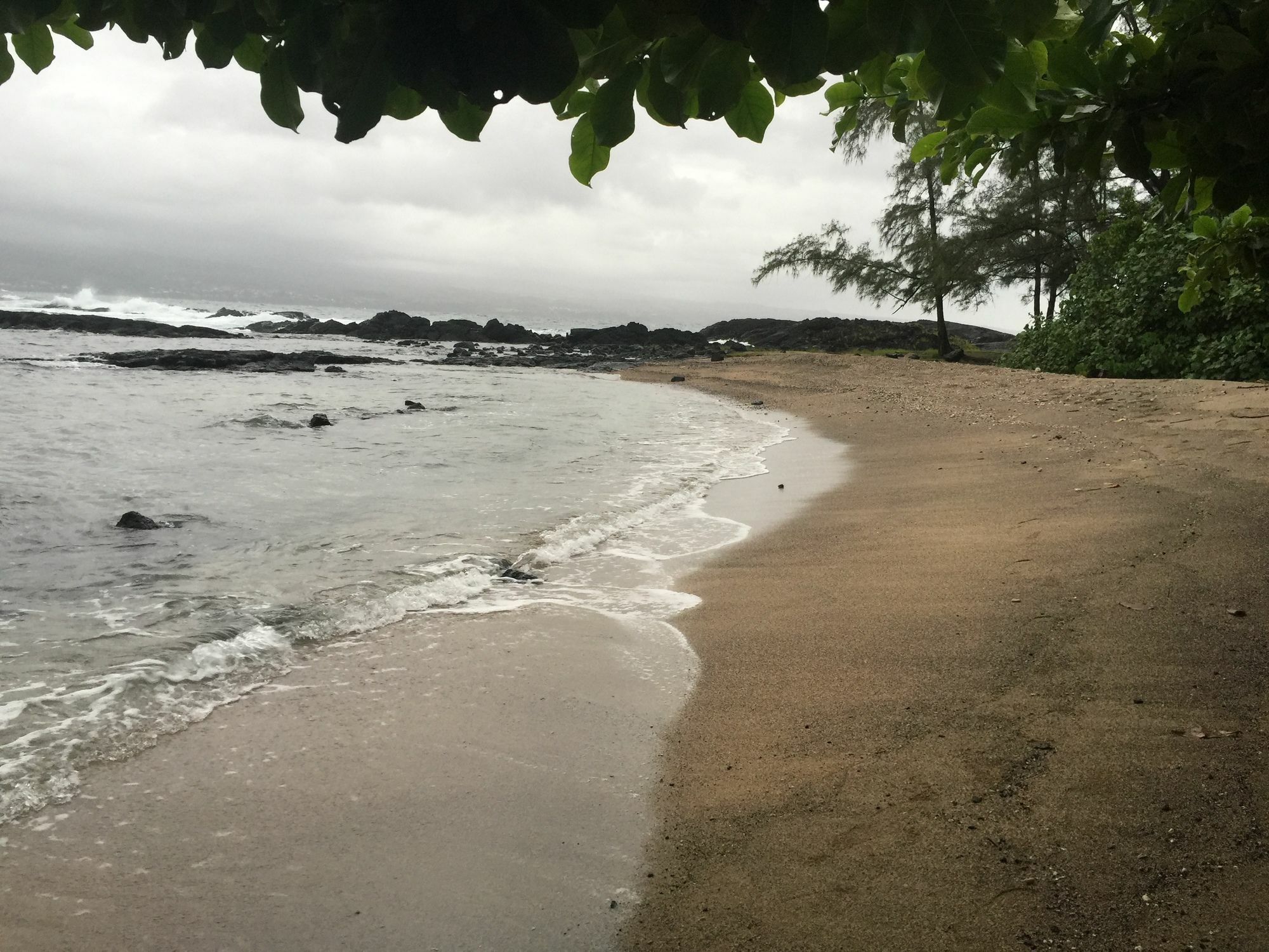Aaron'S Cottage Hilo Dış mekan fotoğraf